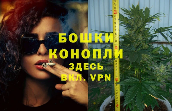 spice Вяземский