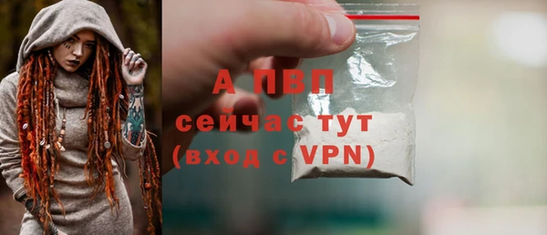 сатива Вязники