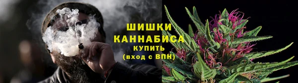 spice Вяземский