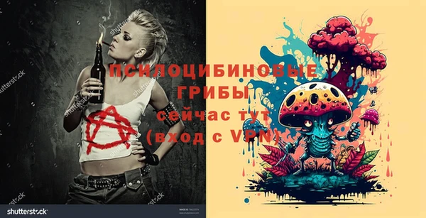 сатива Вязники