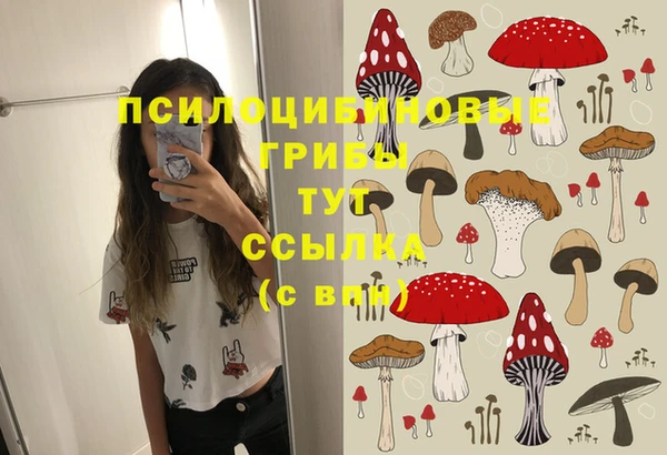 сатива Вязники