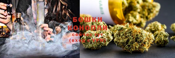 сатива Вязники
