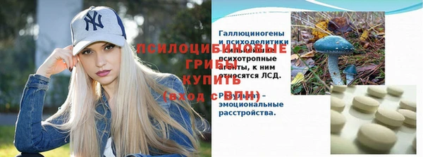 сатива Вязники