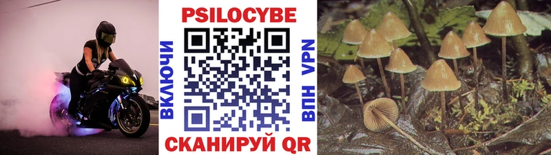 Псилоцибиновые грибы мицелий  hydra зеркало  Циолковский  магазин продажи  